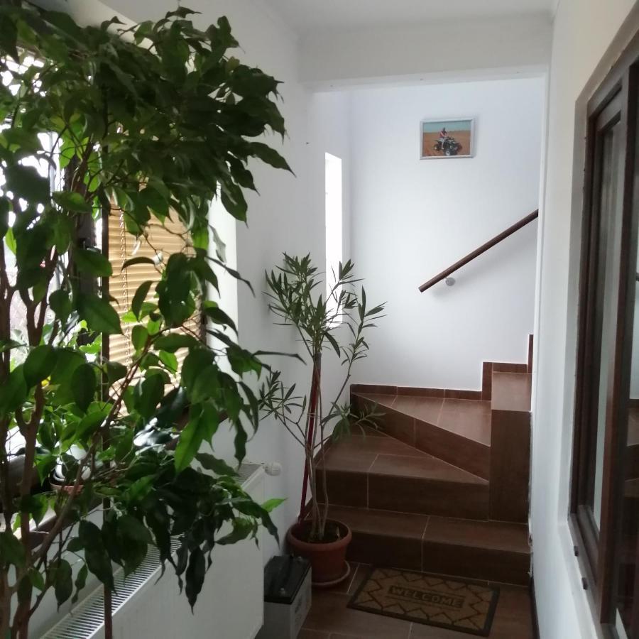 Villa 38 Silviu Apartment Bukarest Exterior foto